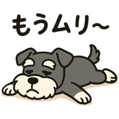 miki_20250501232531