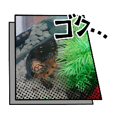 mikan_20250502133002