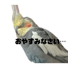 ぴーぴーらむねのスタンプ
