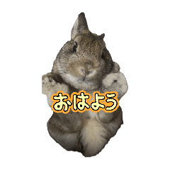 Takashi_20250501234331