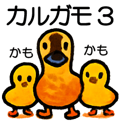 Chitchat of Birds6 - Spot-billed Duck 3