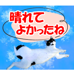 Mitsuo's Daily stamp sumr,rainy Ver.