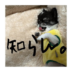 ちーたん0歳、おてんばむすめ。