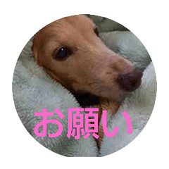 Luna_20250502102522