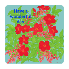 Flower collections