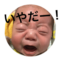 shoma shoma
