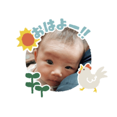 natchanstamp202505