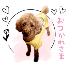 tomato's Sticker@ringonohoppe