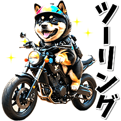 Touring bike lover Kuroshiba (Spring