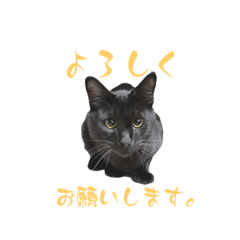 aya_20250502123635
