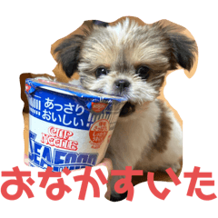 ken_20250502122936