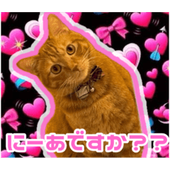 love_20250502012754