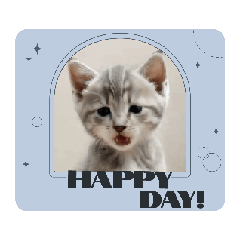 GRAPE_20250502110652