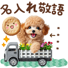 名入れ敬語の癒しトイプードル