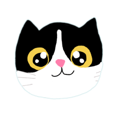 Kaopan_20250501212023