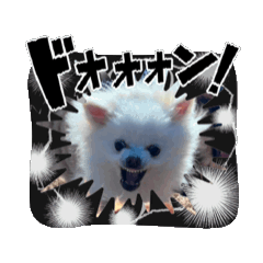 yuchi_20250502120918