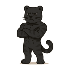 Black tigers fitness