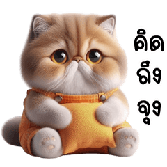 Cute, bulging-eyed, orange-panted cat