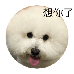 Mochu and her friends.