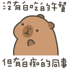 卡比巴拉肥水豚沒白吃午餐