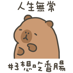 capy capybara-75