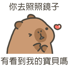 卡比巴拉肥水豚有看到我的寶貝嗎