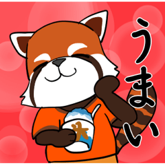 レッサーパンダの甘いおやつ