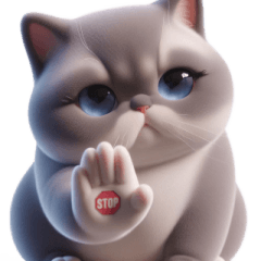 Grumpy Meow Meow Cat