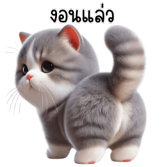 แก๊งเหมียวคาวาอี้ตุ้ยนุ้ย V.4 (BIG)