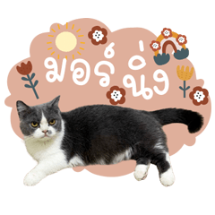 Sonthipak  V.1