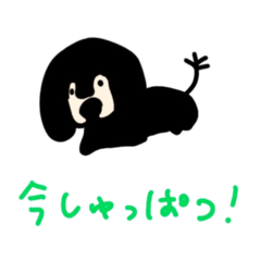 AIBO_20250501
