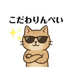 cat_20250502130755