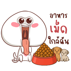 หัวกลมซาลาเปา