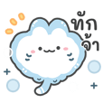 แมวน้ำ