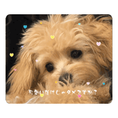 TANAKA_20250502194226