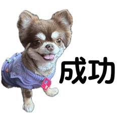 chie_20250502165552