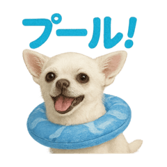 夏だ！リアルすぎるチワワのLINEスタンプ