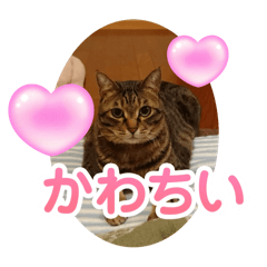 moka_20250502151949