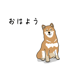 K_20250502192502