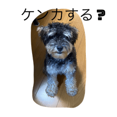 Ryo_20250502180856