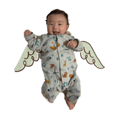 かわいい朝ちゃん