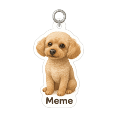 meme_20250502204009