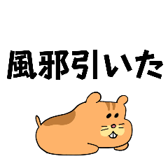 riri_20250502205103