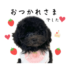 Baby RAFU (toypoo)