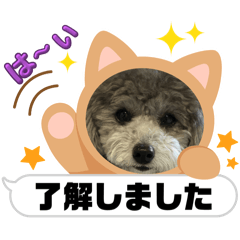 peco_20250502220951