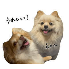 mi-taro_20250502220725