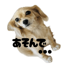 Saori_20250502222915