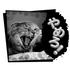 mogu_20250502205918