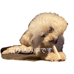my life with cocokina