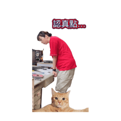 突如其來溫柔表情